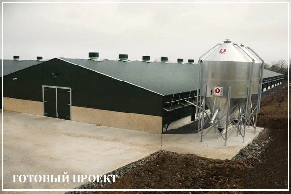 Этапы возведения птицефабрики от завода ВелесТент-сср